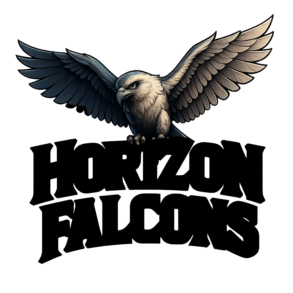 12.webp