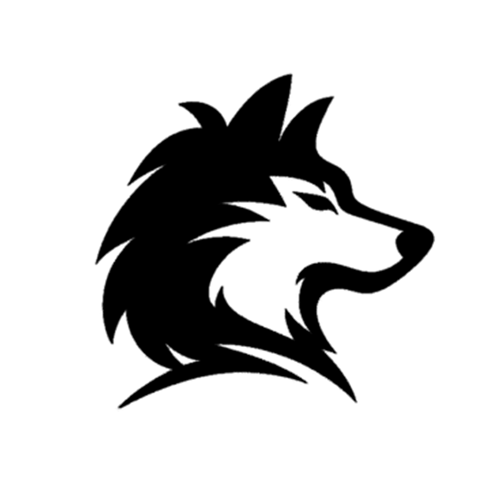 13.webp
